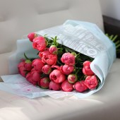 Пион коралловый